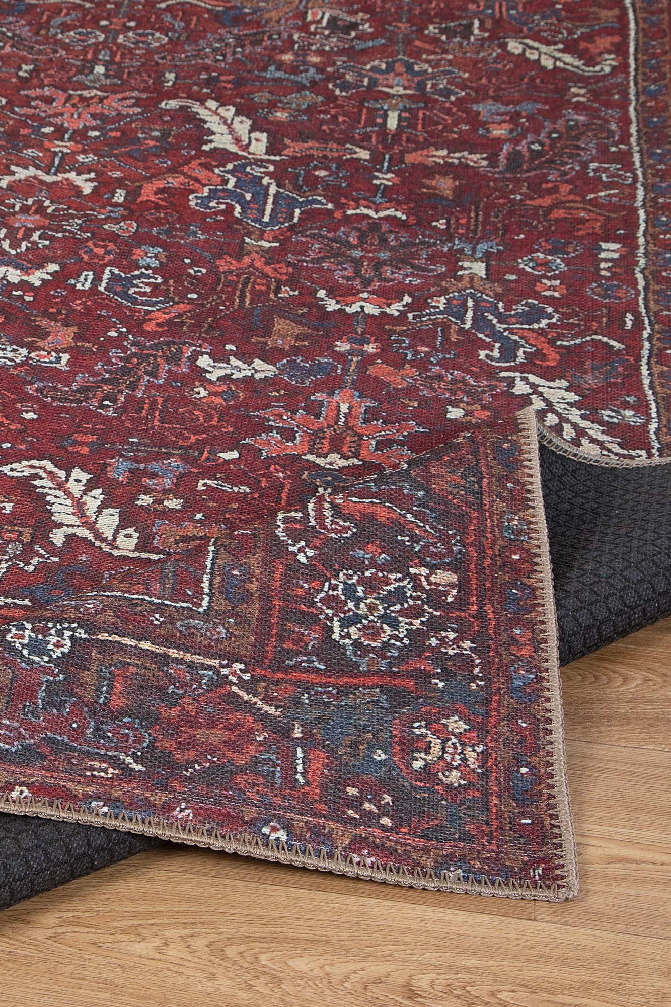 Parisa Red Persian Area Rug side facing